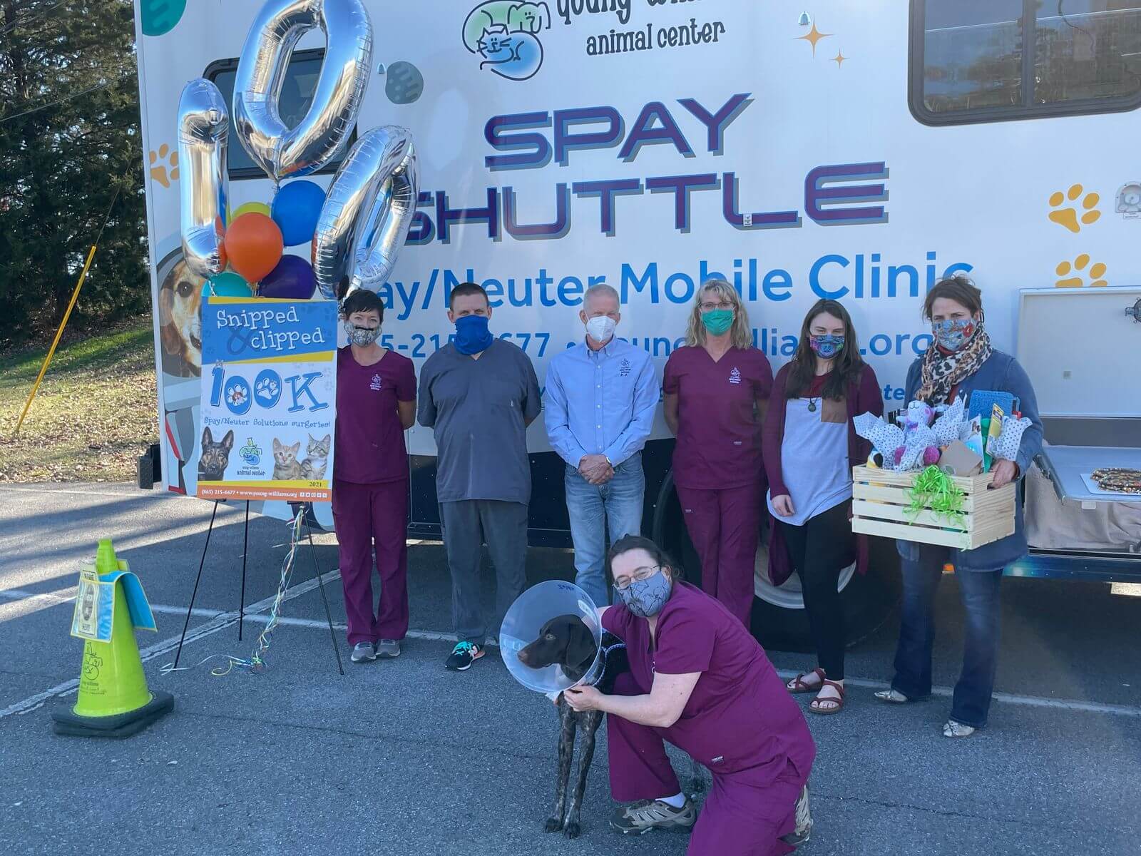 Young-Williams Animal Center celebrates 100,000 spay/neuter milestone with  free surgeries for 100 pets | Knoxville Chamber