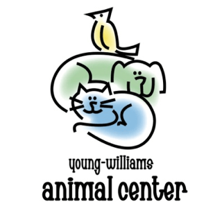 Young-Williams Animal Center celebrates 100,000 spay/neuter milestone with  free surgeries for 100 pets | Knoxville Chamber